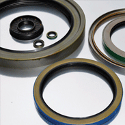 EAI Viton Oil Shaft Seal 25x32x7mm Grease Dbl Lip w/ Stainless Steel Spring 